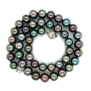 Tahitian pearl strand/281223